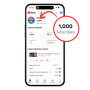 Monetized Youtube Channel