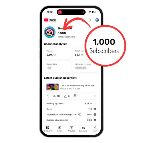 Monetized Youtube Channel